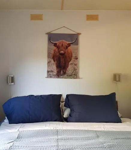 Carafun Aan Het Water *